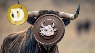 Under $1 Cryptocurrency To Surpass Dogecoin (DOGE) Performance in 2024