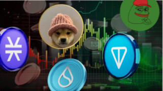 Altcoin Price Action Explained: STX, WIF, TON, SUI, PEPE