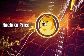 现在购买 HACHI 太晚了吗？ Hachiko 价格飙升 1,114％，这可能是下一个爆炸的加密货币