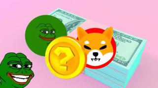 300 美元的热门柴犬和 PEPE？这种失败的硬币可能是下一个爆发的加密货币！