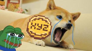 XYZVerse (XYZ) Surpasses Shiba Inu (SHIB) and PEPE as Top Altcoin for a 30,000% Rally—Here’s Why