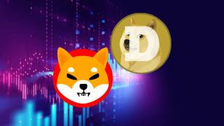 加密传奇称，柴犬和狗狗币尚未达到 1 美元——这种山寨币可能是真正的牛市赢家！
