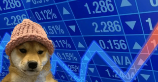 12 月 12 日立即购买的热门 Meme 币 — Notcoin、dogwifhat、Bonk