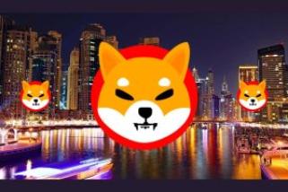 Early Shiba Inu Investor Cashes In $9.5M During Recent SHIB Dip. Here’s how